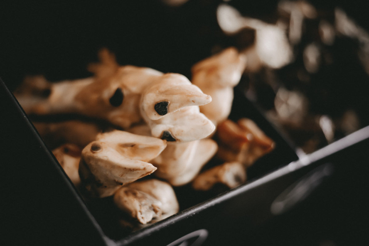 Lammbeine Barf Shop für gesunde Hundeernährung