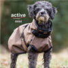 activecape-light-mini_titel