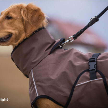 activecape-light_4