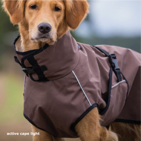 activecape-light_titel