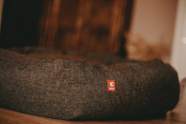 bedbuddy_4