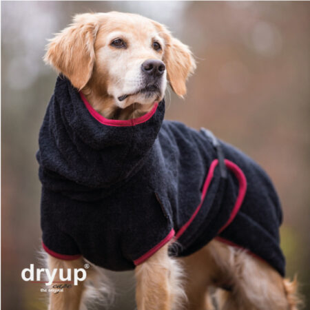 dryupcape_titel2