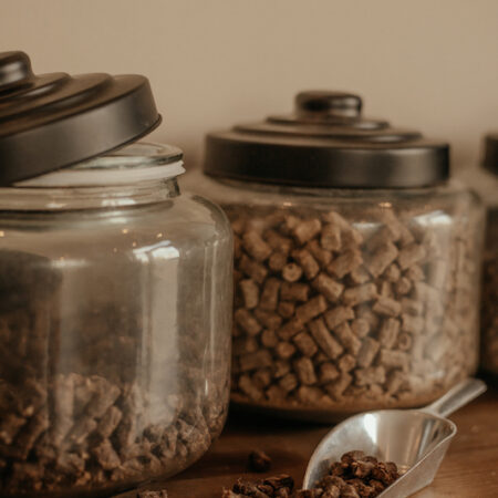 minis1