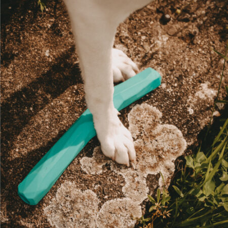 rw_gnawt-a-stick_2