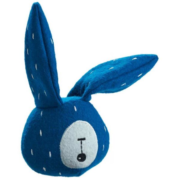 tirana_hase-1