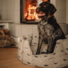 woofdog-bed