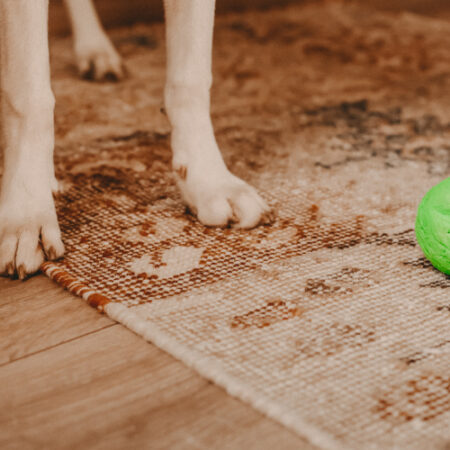 wunderball_3