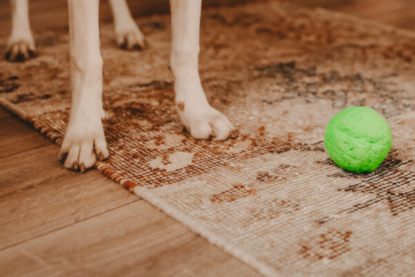 wunderball_3