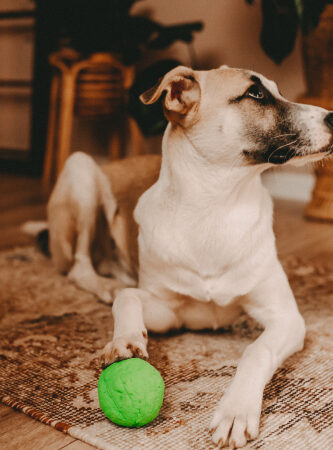 wunderball_5