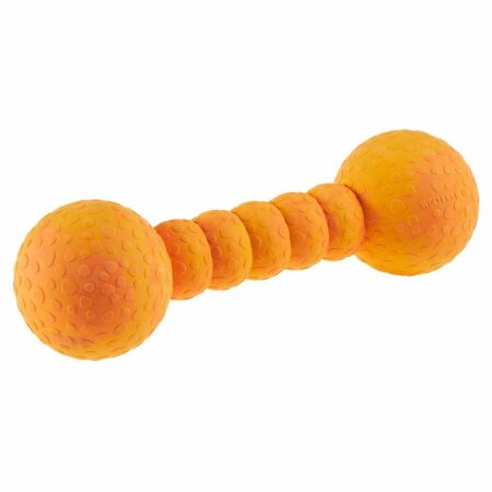 aqua-gym_mango