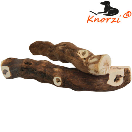 knorzi
