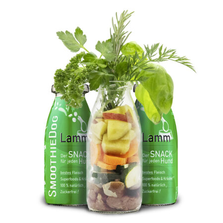 lamm_2