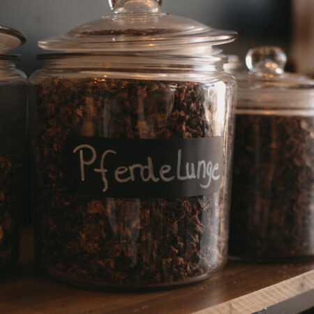 pferdelunge_trainingshappen