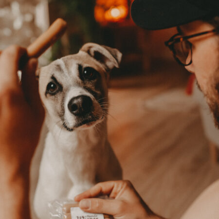 wiener_3