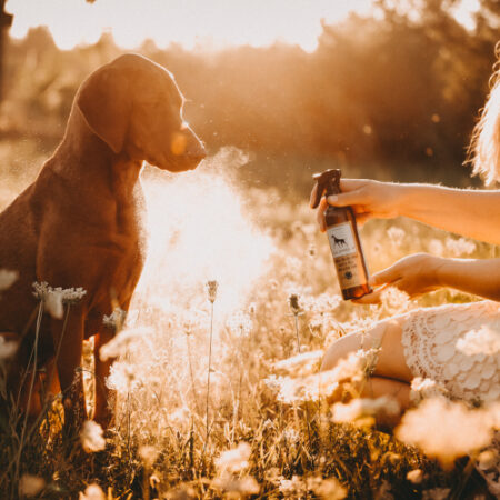 Pflege - LILA LOVES IT