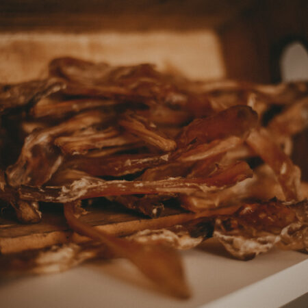 pferdeachillessehne2