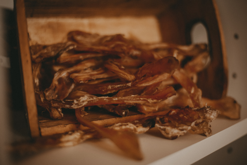 pferdeachillessehne2