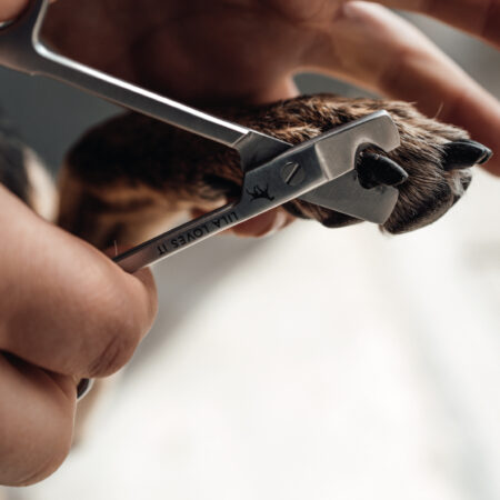 lli_krallenschere_mood